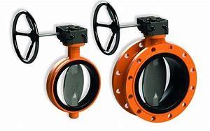 Wouter Witzel EuroValve EV系列蝶阀
